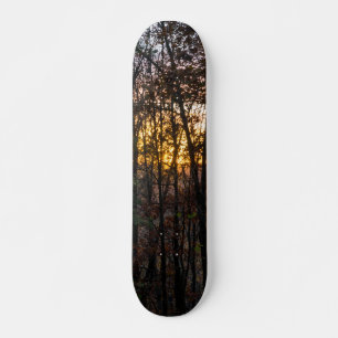 Skate SDC Woody Sunset