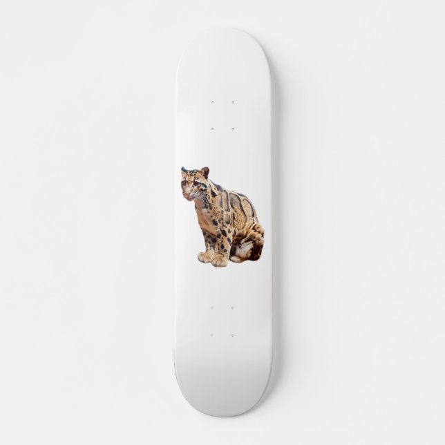 Skate selva de grande gato com fotografia-leopardo nubla (Frente)