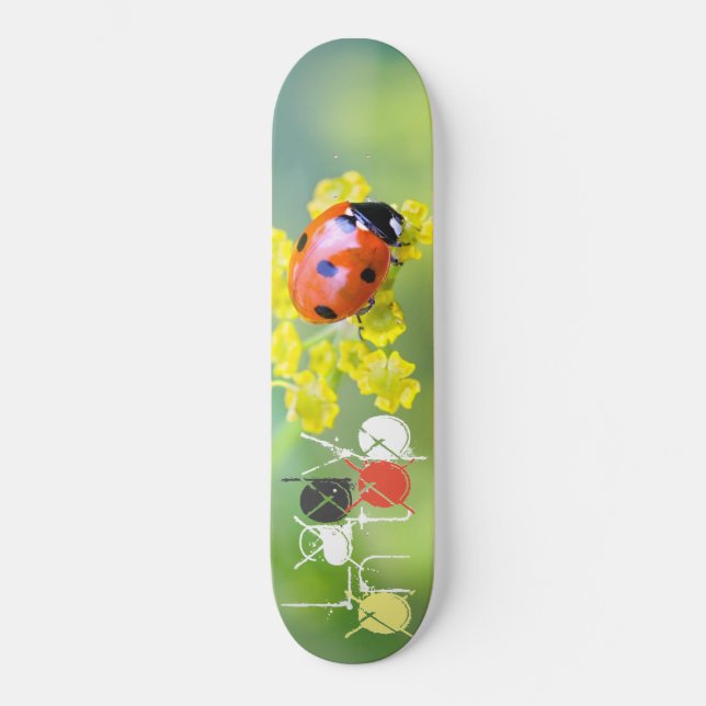 Skate senhora no topo (Frente)