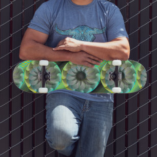Skate Shark espiral de Kenneth Yoncich