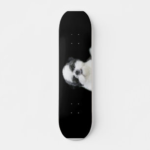 skate Shih Tzu