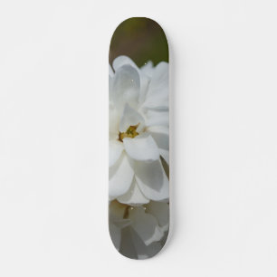 Skate Silky Magnoly