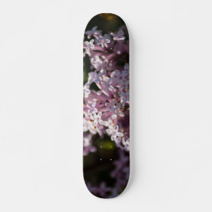 Skate Sinta aquele Lilás