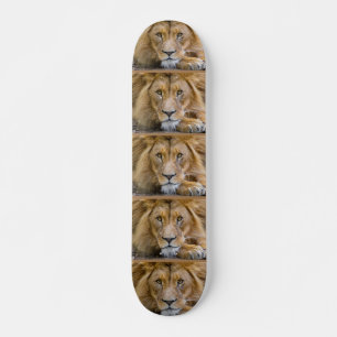 Skate Skateboards LION
