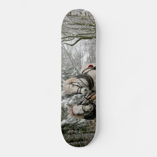 Skate Sleigh Ride in the Snowy Forest (Frente)