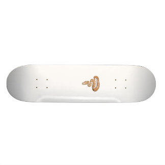Skate SnakeBoard