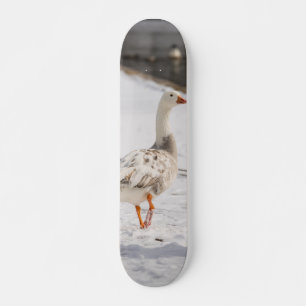 Skate Snow Goose Strash