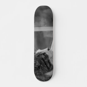Skate Sonhar Com Tons De Cinza De Tempo Mais Quentes