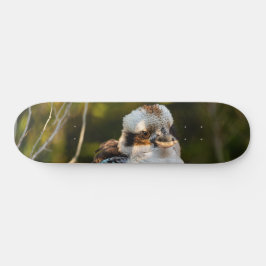 Skate Soprava rindo kookaburra