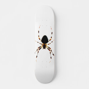 Skate Spider sdcn