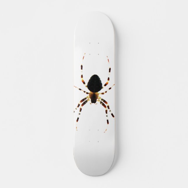 Skate Spider sdcna (Frente)