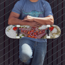 Skate Starfish, Zanzibar, Tanzânia