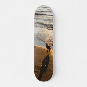 Skate Sunset Walk Com Mamãe
