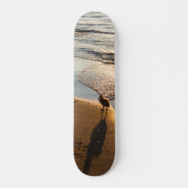 Skate Sunset Walk Com Mamãe (Frente)