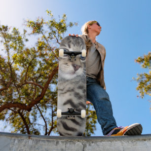Skate "Sussurros de Problemas: o Misquioso Tabby Kitten