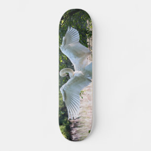Skate Swan com Espalhamento de Asas