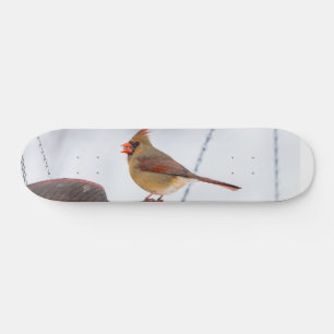 Skate Tabuleiro de Hora do Almoço Cardeal feminino