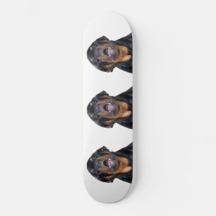 Skate Tabuleiro Rottweiler