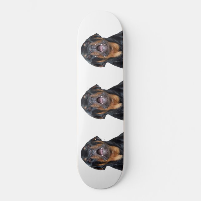 Skate Tabuleiro Rottweiler (Frente)