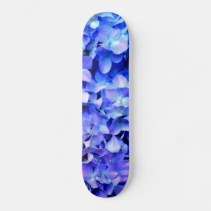 Skate Tanzanite hydrangeas, flores magenta púrpuras azui