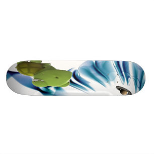 Skate Tartaruga Saturn