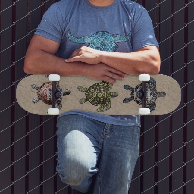 Skate Tartarugas (Ao ar livre 3)
