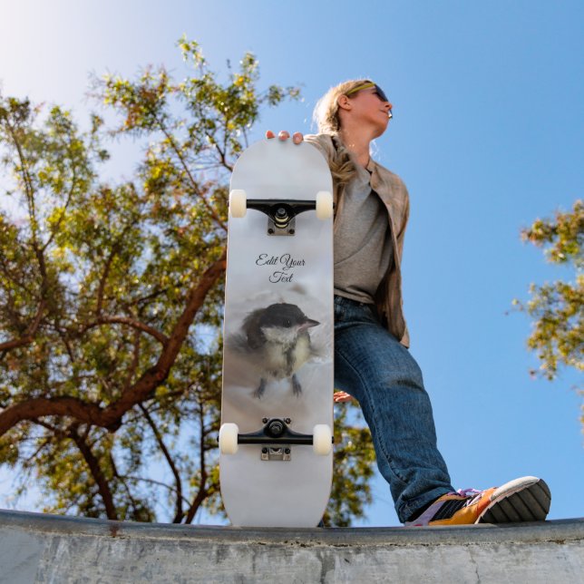 Skate Tidi, meu Pássaro, o Parus Major (Ao ar livre 1)