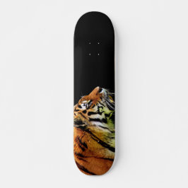 skate Tiger