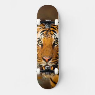 Skate Tigre
