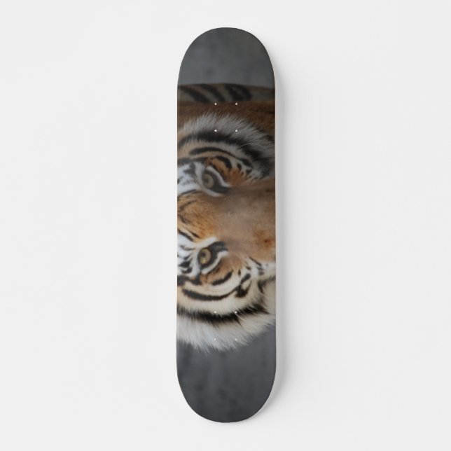Skate Tigre Face (Frente)