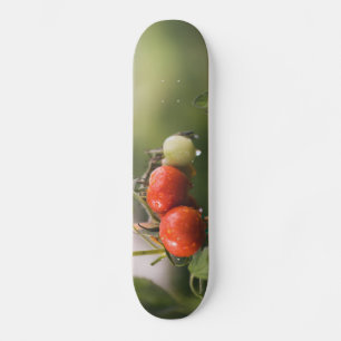 Skate tomate molhado na vinha