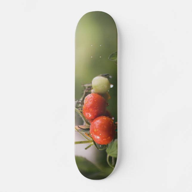 Skate tomate molhado na vinha (Frente)