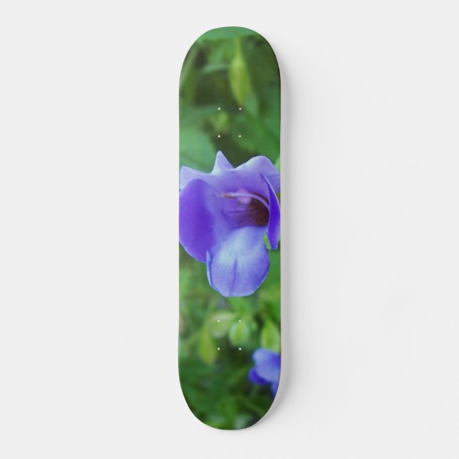 Skate Torenia (Frente)