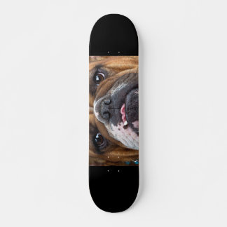 Skate Travesseiro decorativo Inglês Bulldog