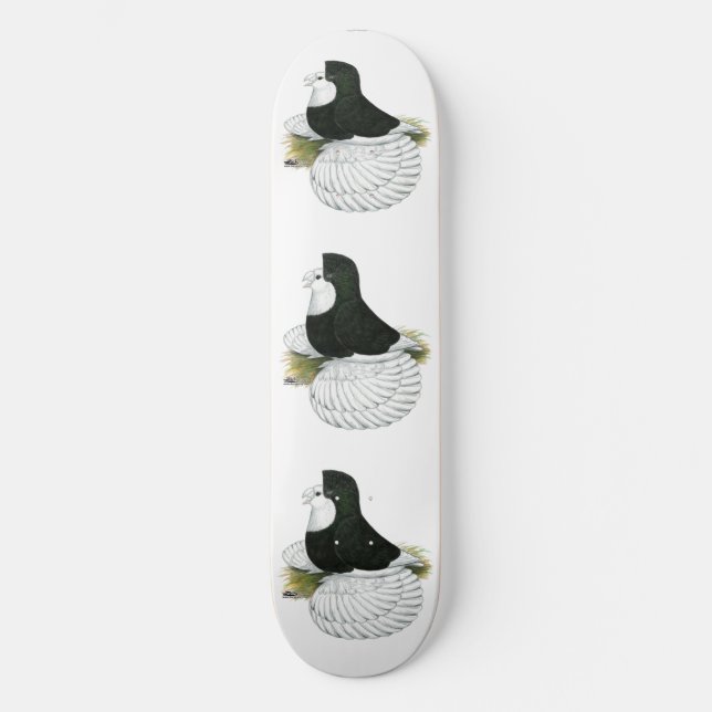 Skate Trumpeter Pigeon Black Balehead (Frente)