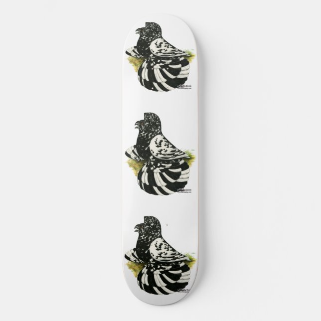 Skate Trumpeter Pigeon Dark Splash (Frente)