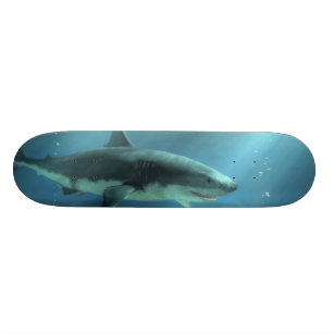 Skate Tubarão
