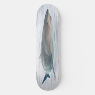 Skate Tubarão real na água