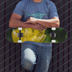 Skate Tulipa Amarela