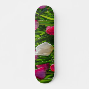 Skate Tulipas Cor-De-Rosa E Brancas Painterly