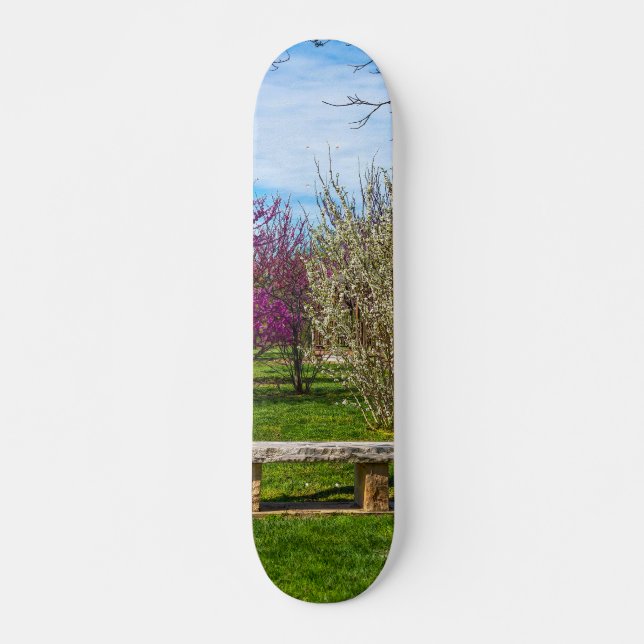 Skate Uma estação de Primavera (Frente)
