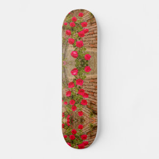 Skate uma subida de rosa em uma parede de tijolos em ska