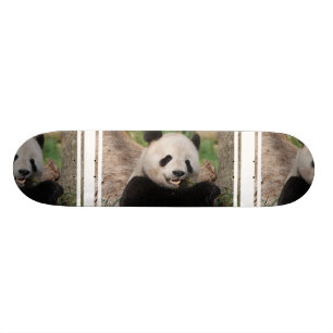 Skate Urso de panda de sorriso