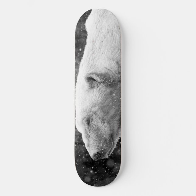 Skate Urso polar calmo (Frente)