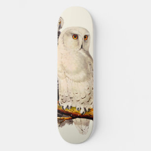 Skate Vintage Snowy Owl Drawing