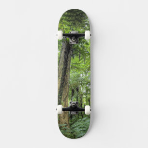 Skate Vista da vegetação nos Jardins Botânicos de Bali,