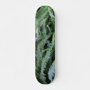 Skate Voando em Ferns