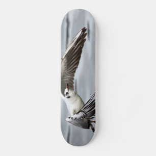 Skate Voo Aviano do Seagull
