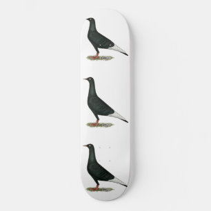 Skate Voo Voador Pombo Negro