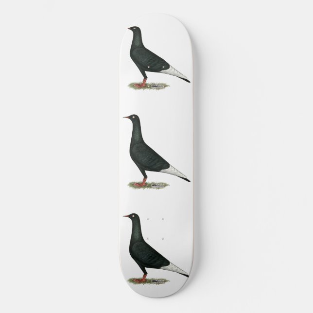 Skate Voo Voador Pombo Negro (Frente)